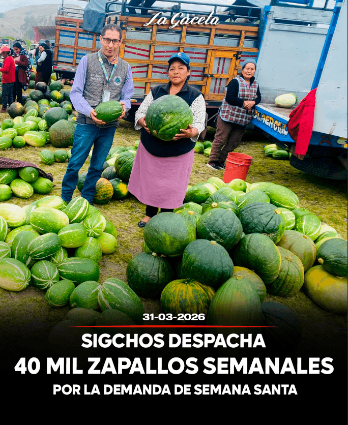 Sigchos despacha 40 mil zapallos para la fanesca en Semana Santa